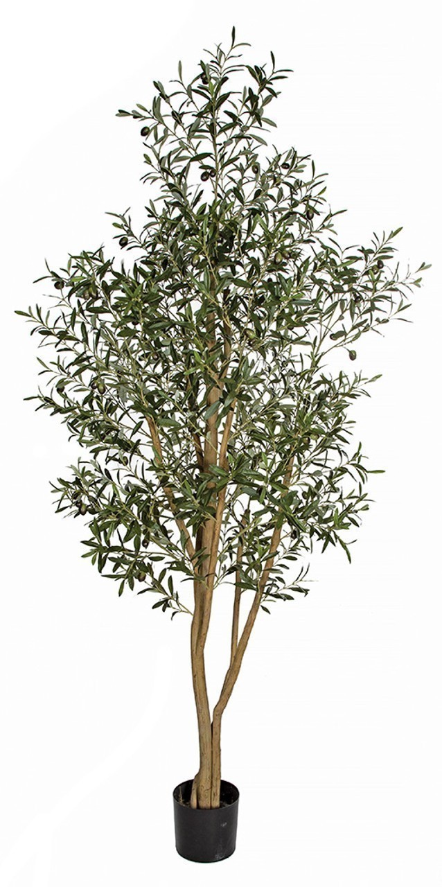 Earthflora Mediterranean Olive Fig Artificial Trees 7 5 FOOT