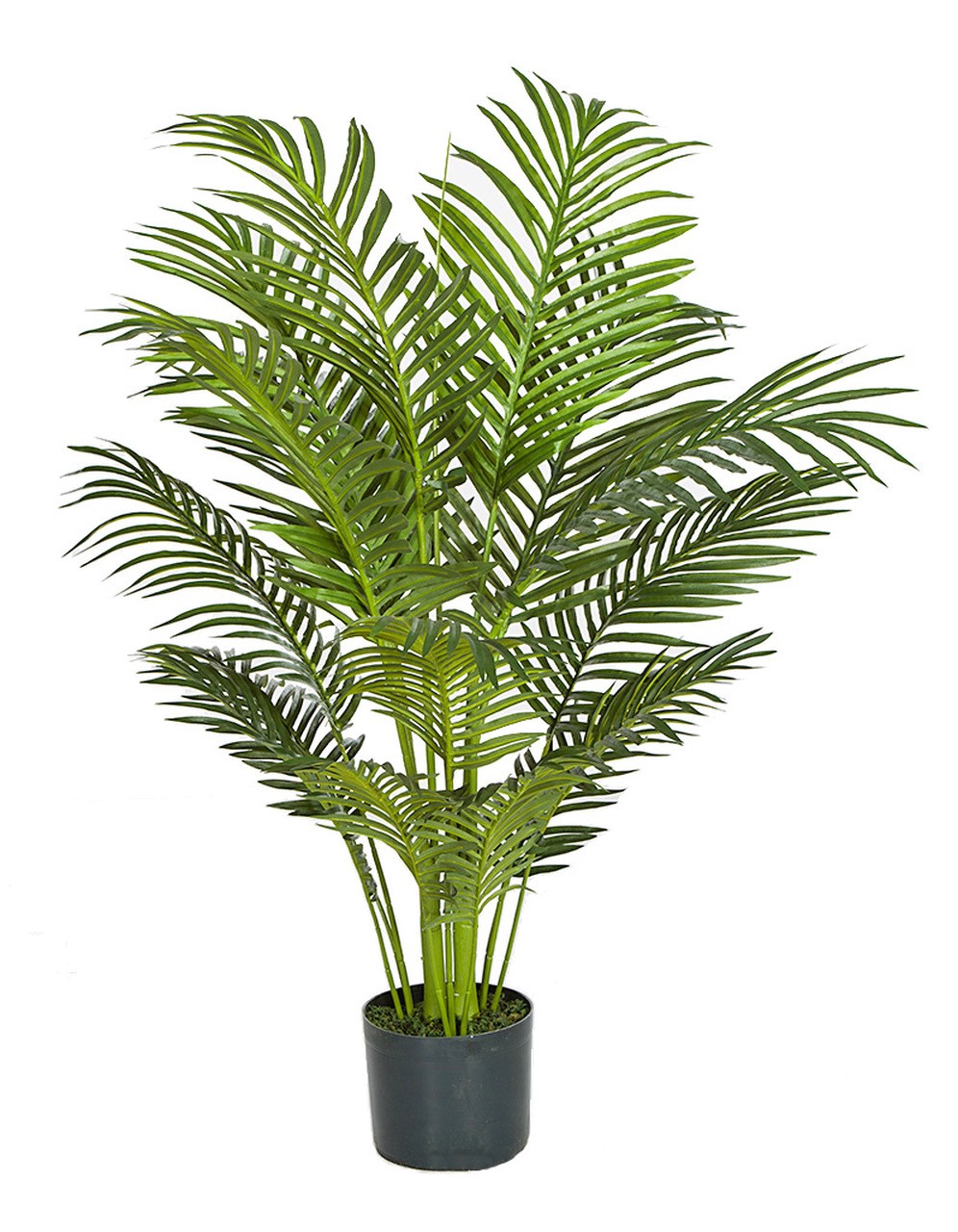 Earthflora > Deco Artificial Areca Palms > 3.5 Foot Areca Palm Tree